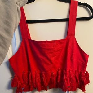 NET Tularosa crop top